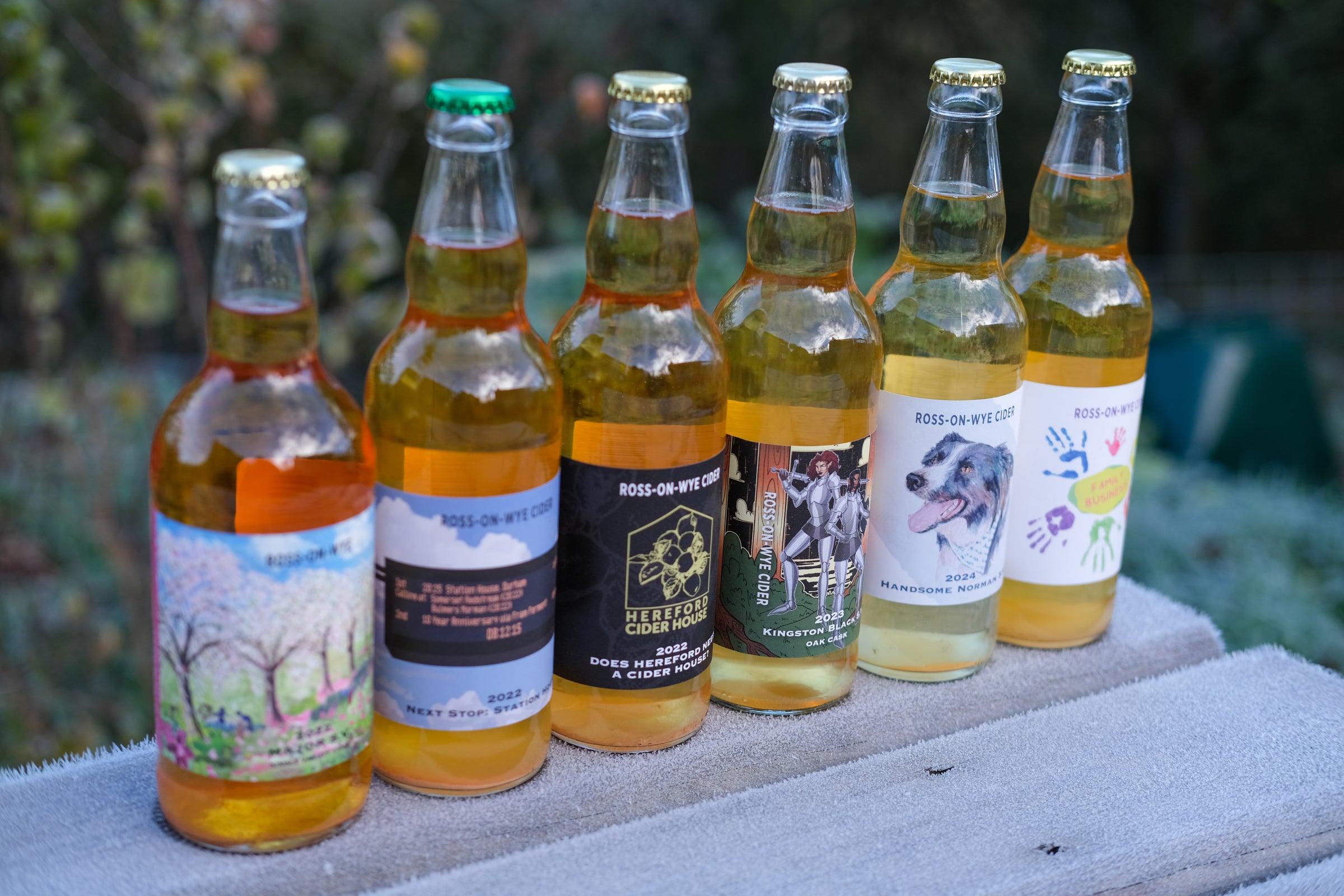 Cider Box Limited Edition Cider Box (50cl) | Ross-on-Wye Cider & Perry Co. Ltd.