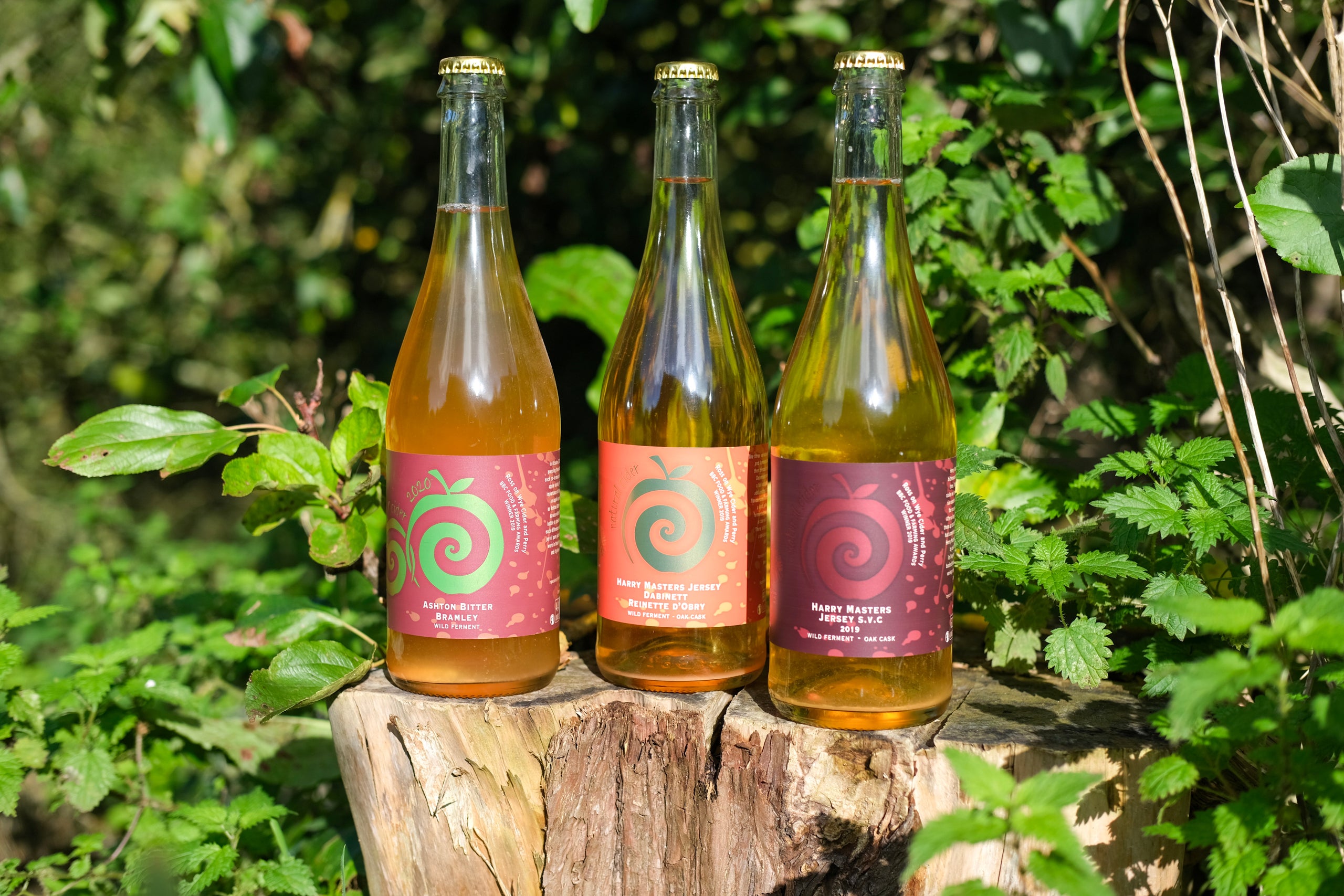 Special Blends Cider Box RossonWye Cider & Perry Co. Ltd.