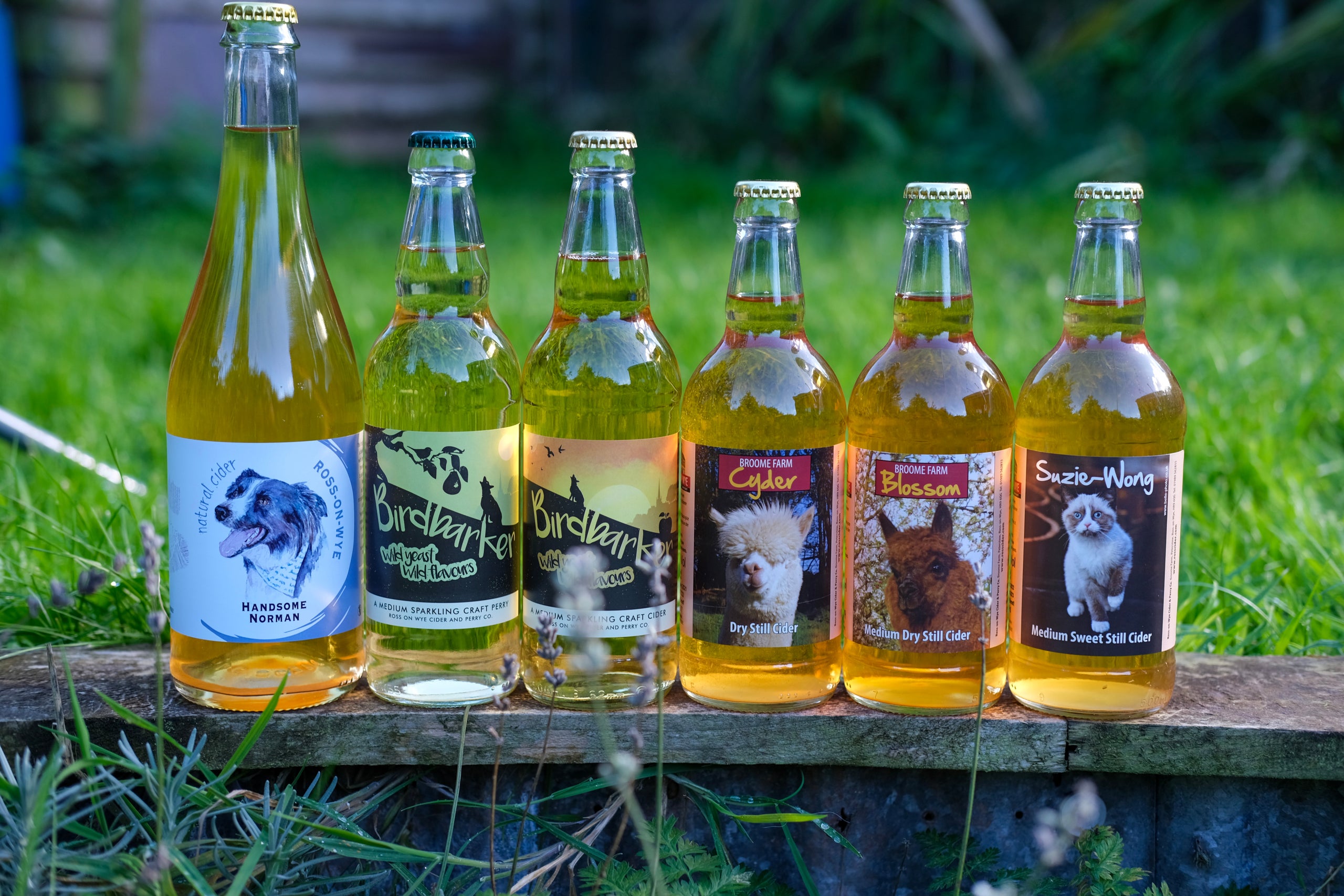 Animals Box RossonWye Cider & Perry Co. Ltd.